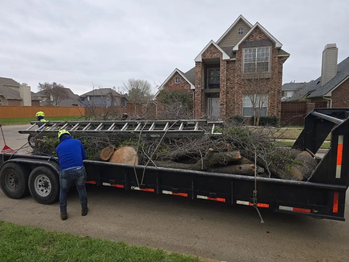 Expert Tree Removal with proper safety equipment in Mc Adenville